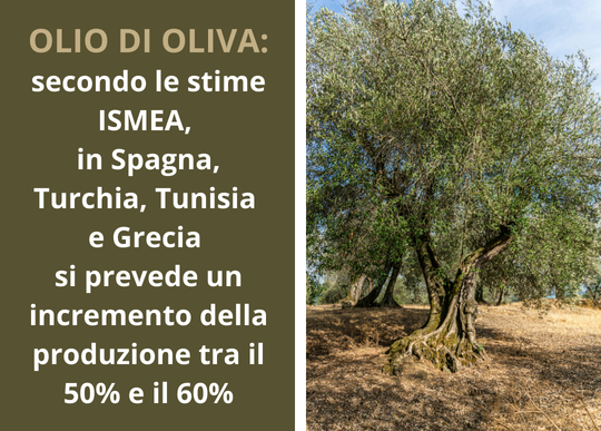 aumento produzione olio europa.png